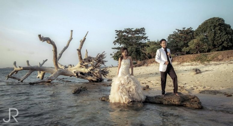 526467_492493530786791_633457474_n